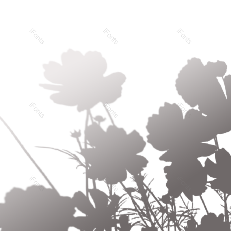 叶子图片,树叶元素,阴影PNG,灰色免抠素材